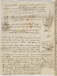 Birds Flight Code, Sheet 10 Verso